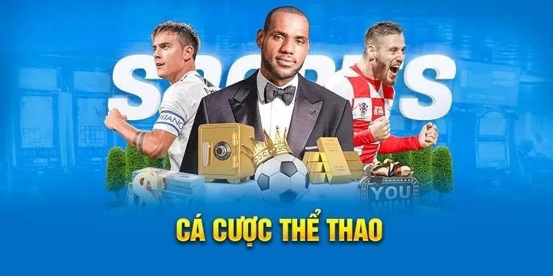 Giới thiệu về cổng cá cược thể thao 8XBET 