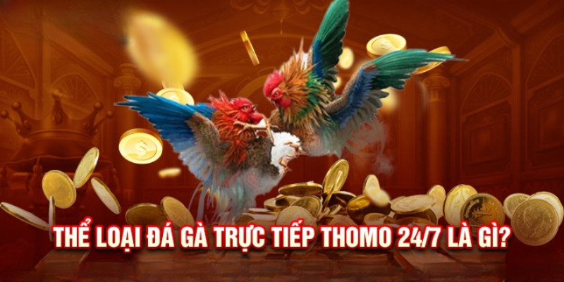 Khái quát về loại hình đá gà trực tiếp Thomo 24/7 