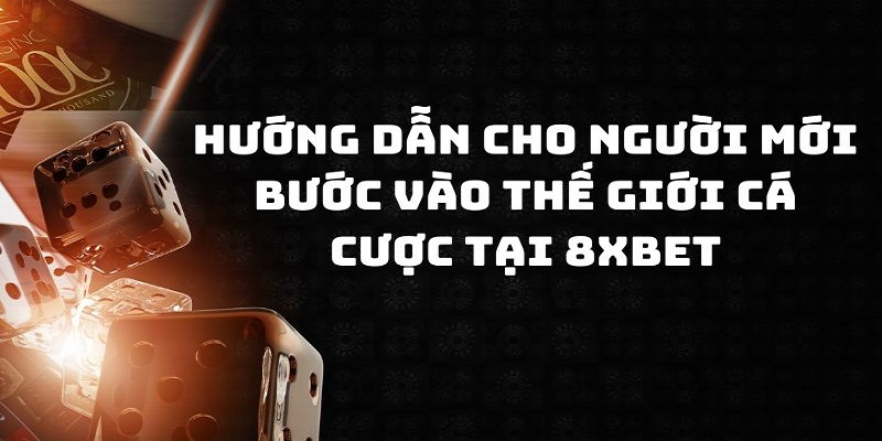 Những nội dung chính cung cấp trong hướng dẫn 8XBET