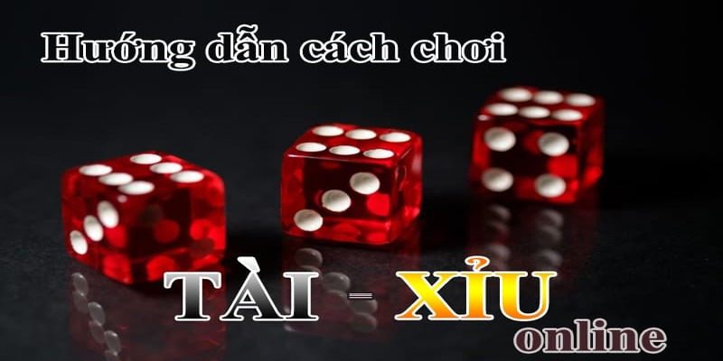 Hướng dẫn cách tân binh mới đánh tài xỉu tại 8XBET