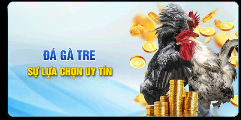 Các đặc điểm nổi bật của trực tiếp đá gà tre tại 8XBET