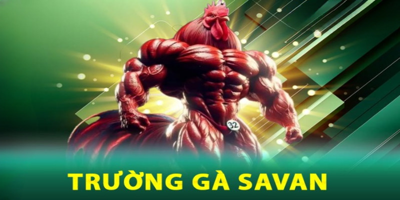 Đôi nét thông tin cơ bản về trường gà Savan